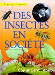 Des insectes en socit