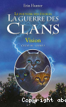 Vision